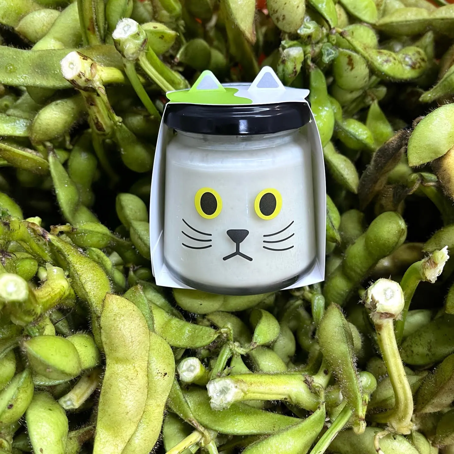 😼ボクは黒枝豆プリンの