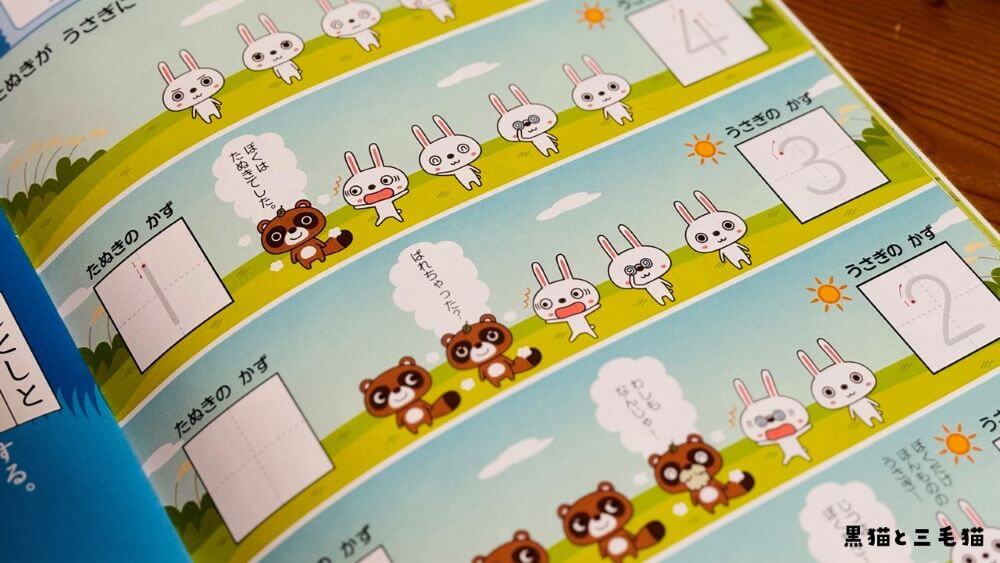 ポピー「あおどり」を徹底レビュー：新デジタルコンテンツも含めて紹介