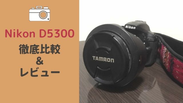 TAMRONの超広角レンズ10-24mmレビュー！Nikonのカメラで5年使ったみた