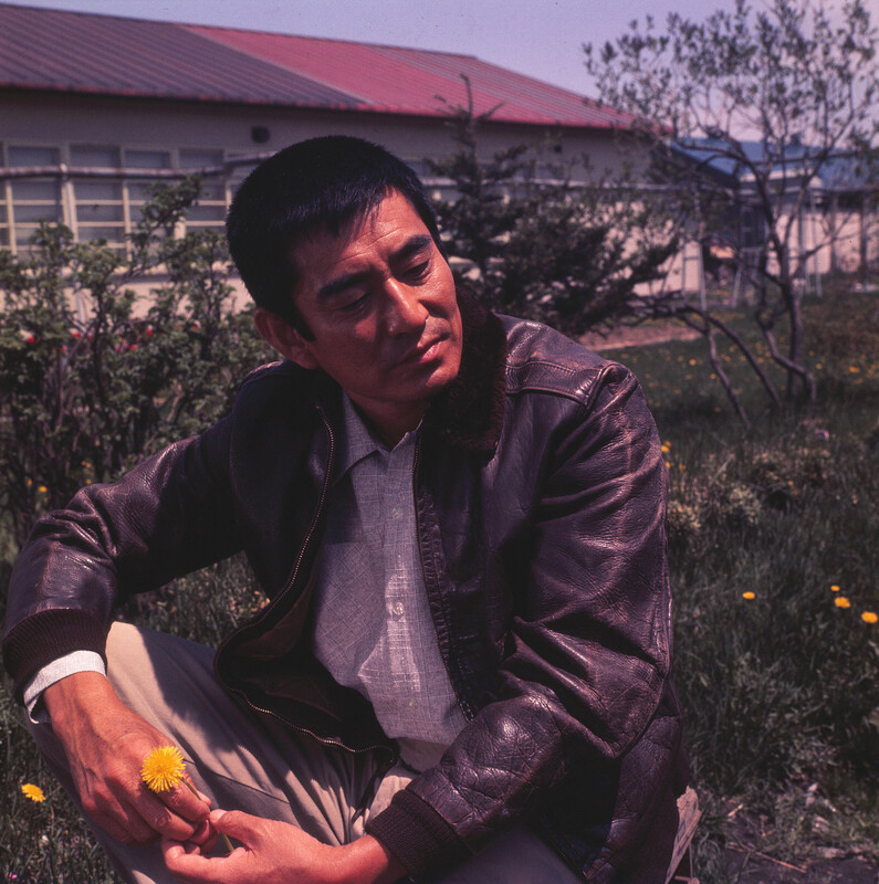 ◤没後10年―永遠の映画スタア 高倉健◢ 11月より7ヶ月連続特集