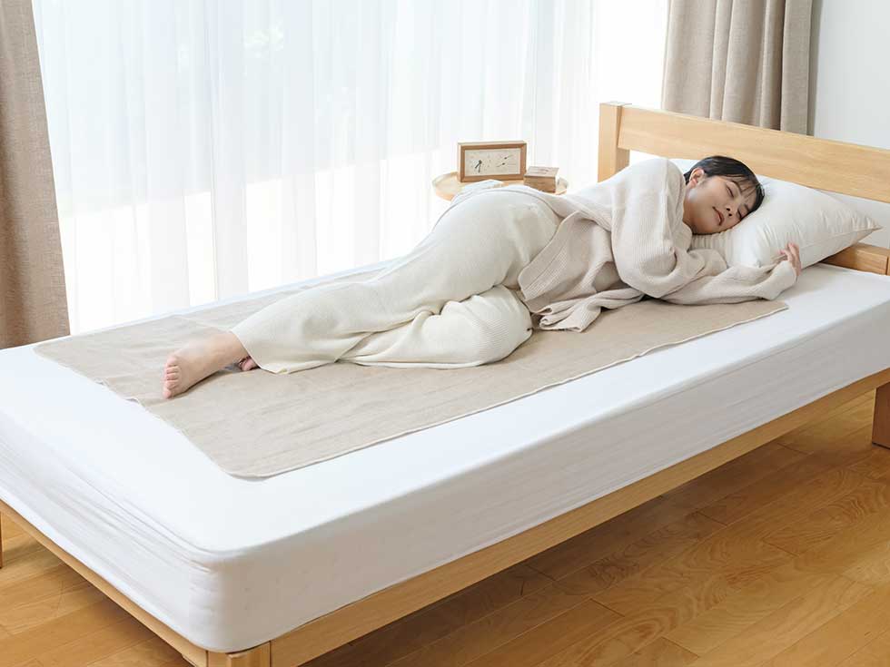 電気毛布（敷き）電磁波カット140x80cmKDS-50256D | コイズミ