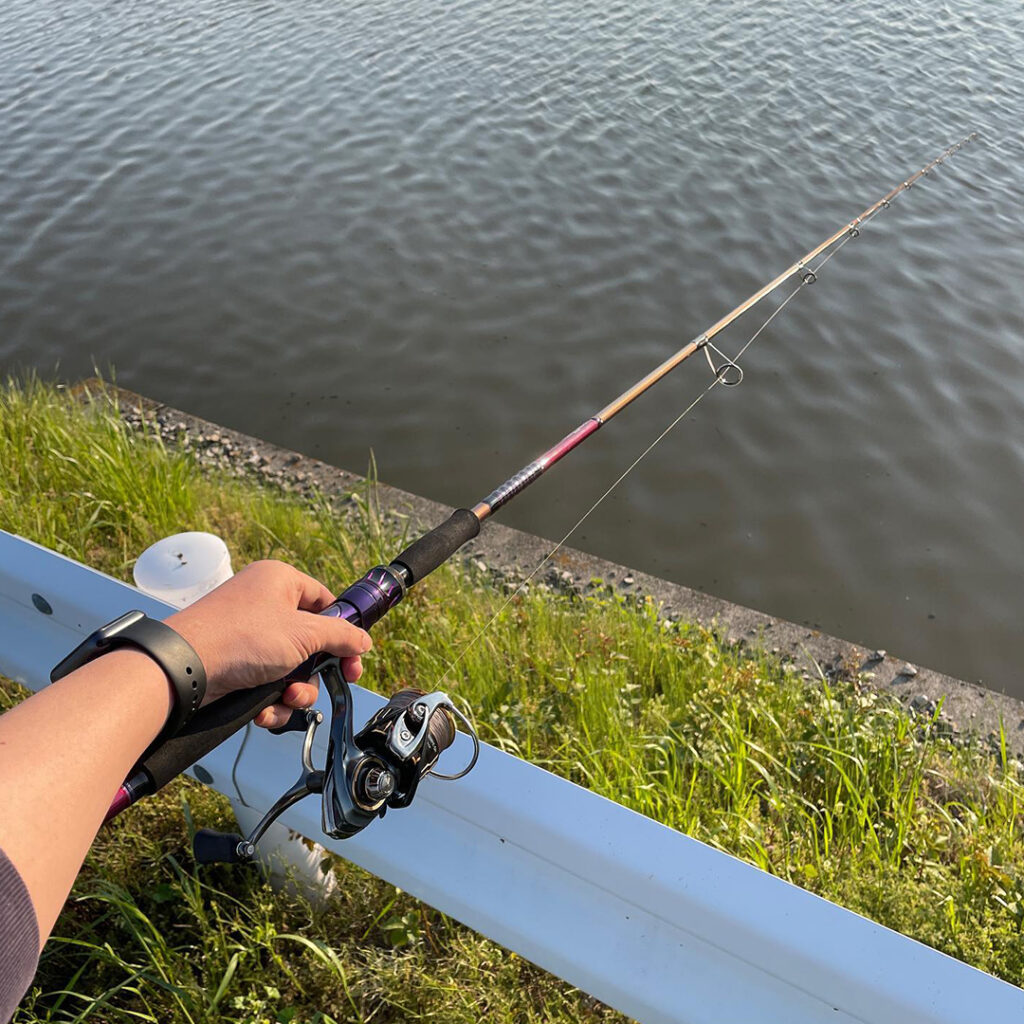 ハートランド リベラリスト】903ML+RSS-22のインプレッション