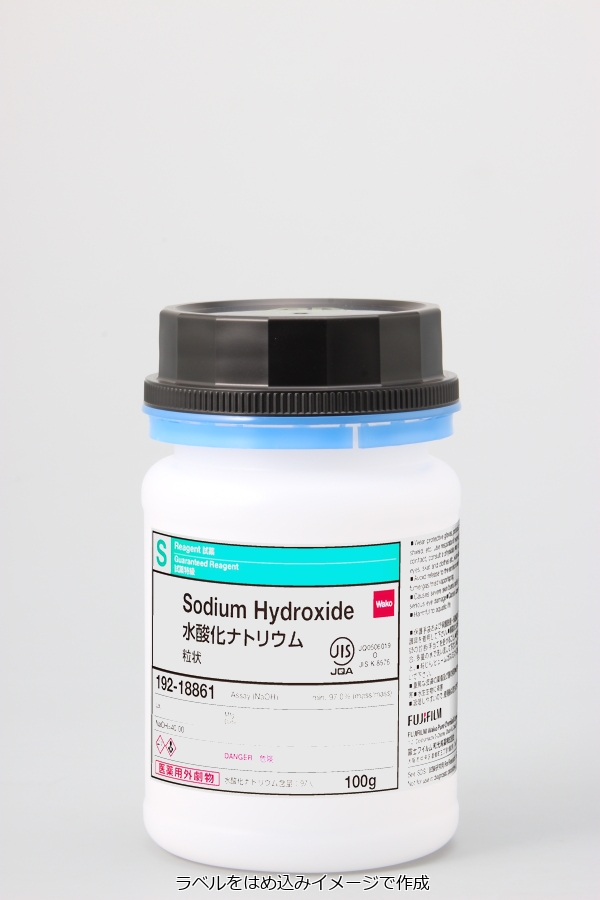 1310-73-2・水酸化ナトリウム・Sodium Hydroxide・198-18863・190