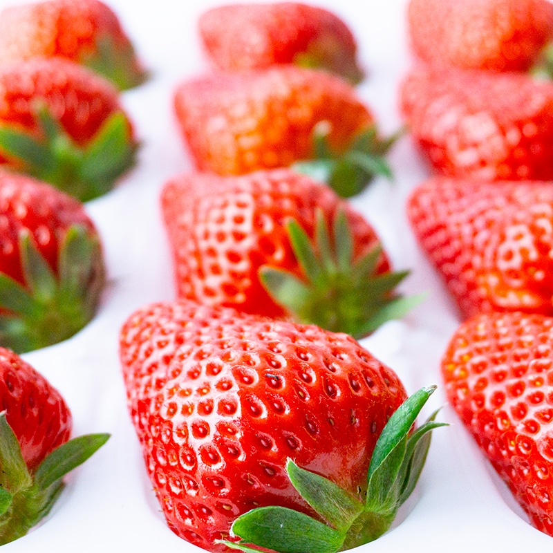 うずしおベリー 特大粒24個（12個×2ケース）黒箱入り | Lacycle mall