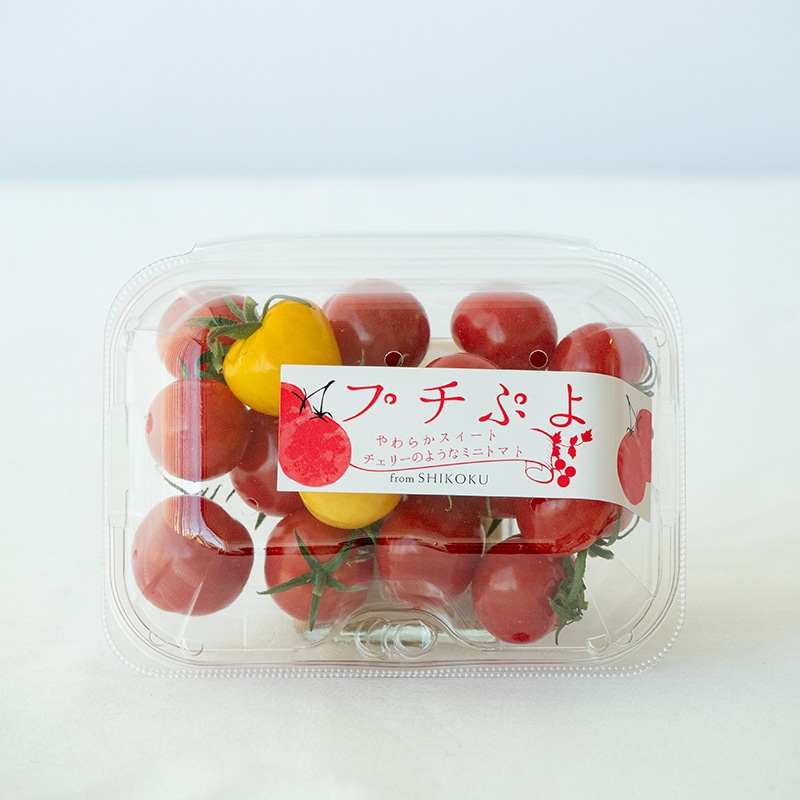 プチぷよBOX（1.2kg） | Lacycle mall（ラシクルモール）