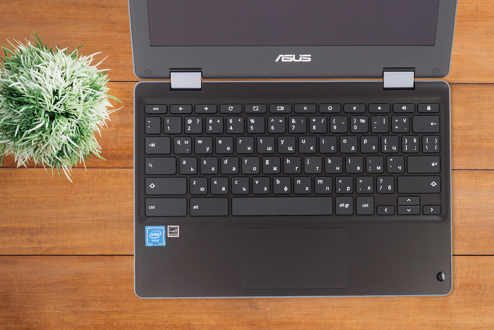 ASUS Chromebook Flip C214 review - one for the students