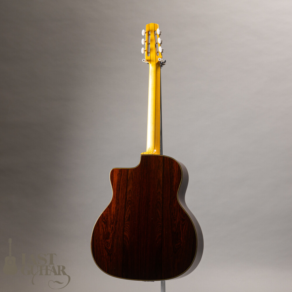 Stringphonic Advanced FV Limited | LAST GUITAR OFFICIAL WEBSITE