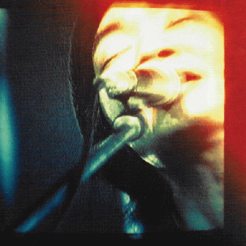 フィッシュマンズ fishmans バックステージパス 男達の別れツアー LP