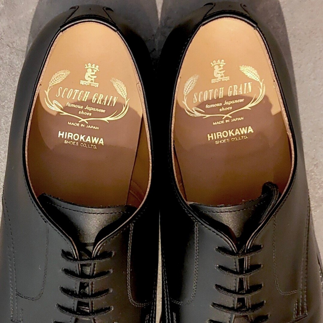 使用数回【SCOTCH GRAIN】スコッチグレイン 3524 アシュランス