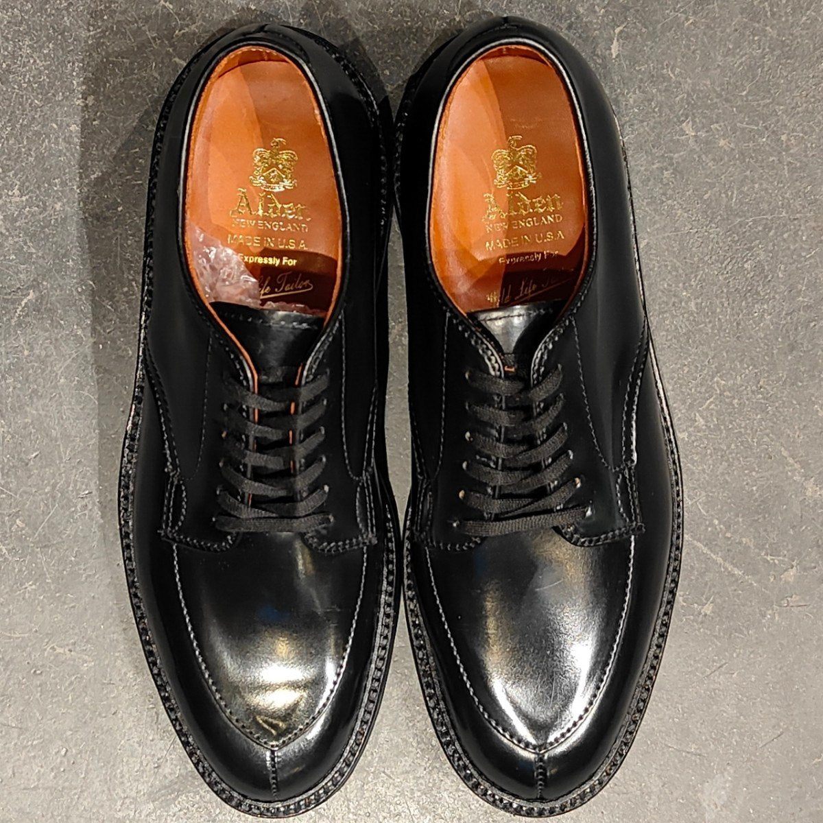 希少 新品未使用【ALDEN】オールデン ワイルドライフテーラー別注