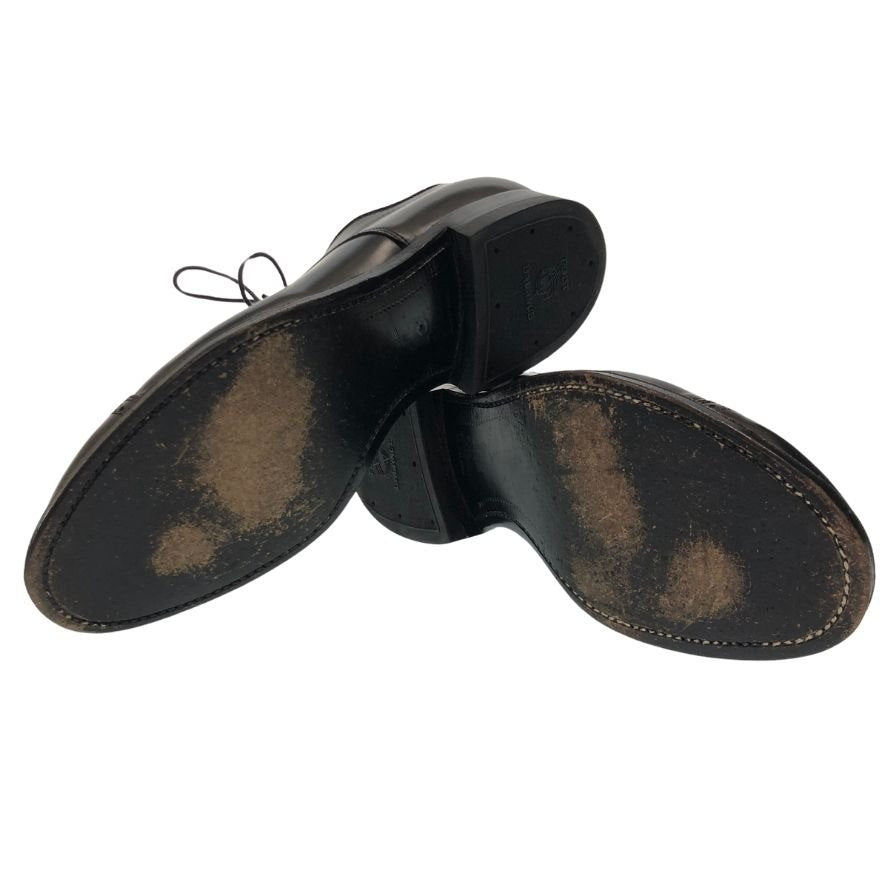 Alden】オールデン 56251 パンチドキャップトゥ コードバン ブラック