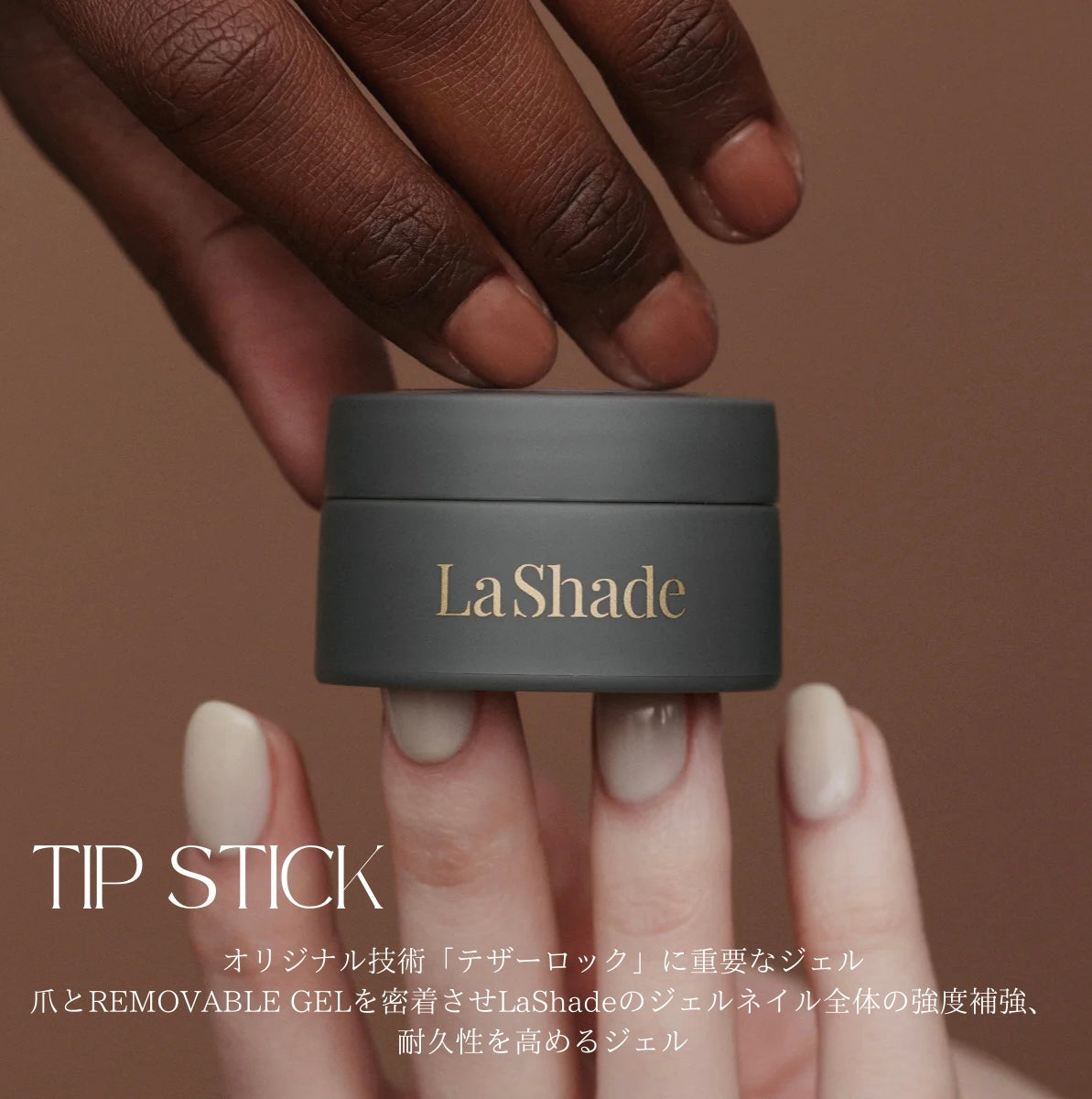 Renewal】LaShade STARTER KIT