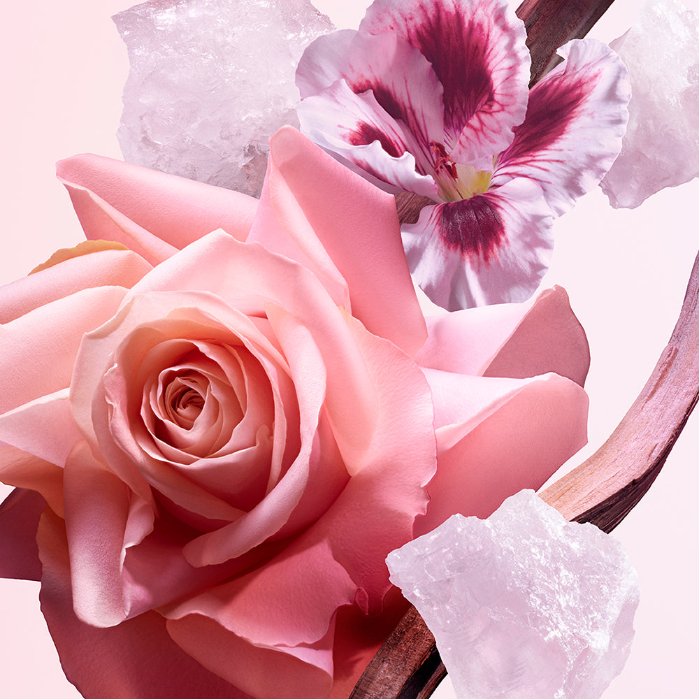 公式】オールオブミー ナルシソ ロドリゲス オードパルファム｜NARCISO