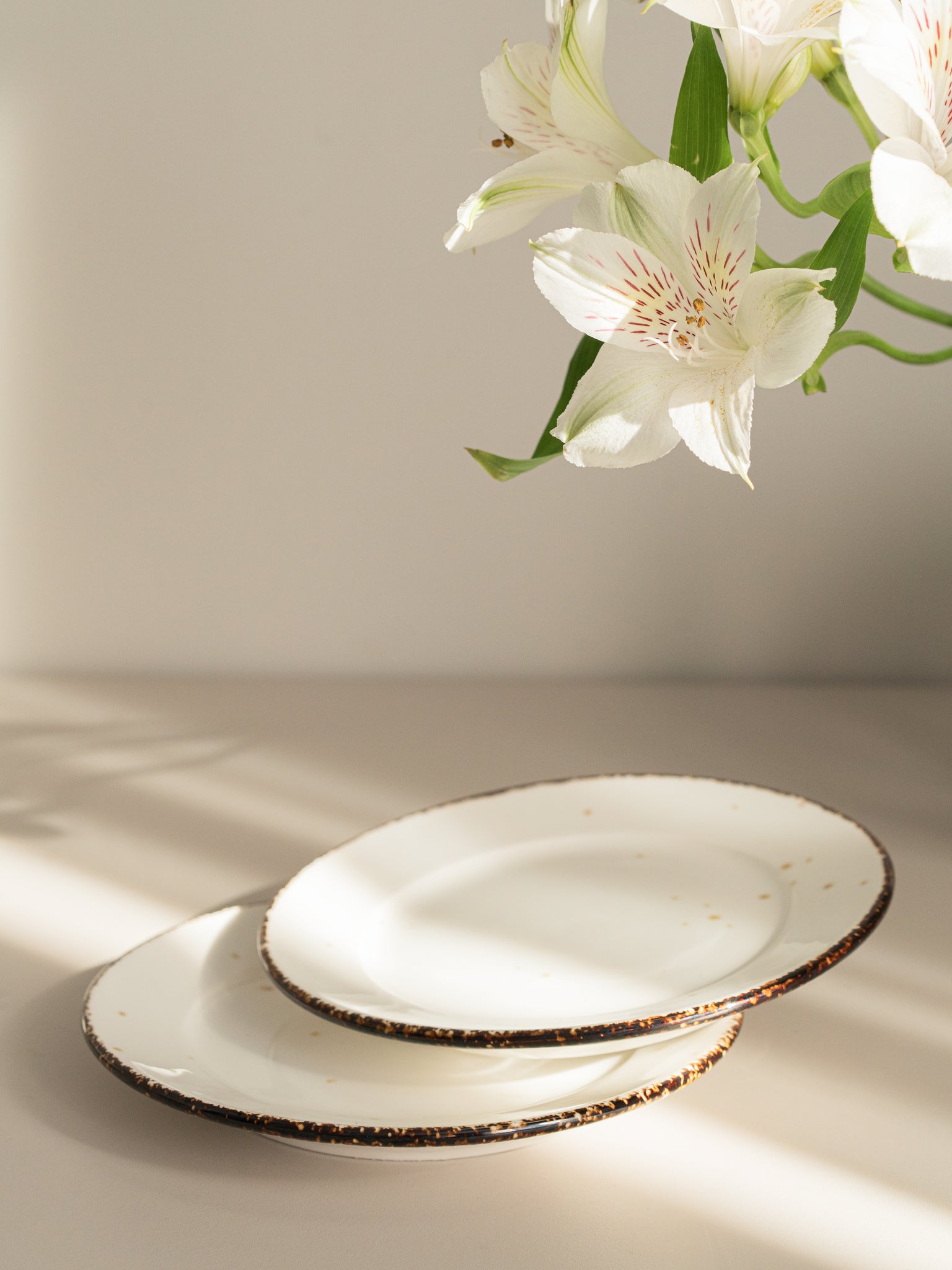 Set of 4 Dessert Plates - Porcelain Dishware For All Occasions