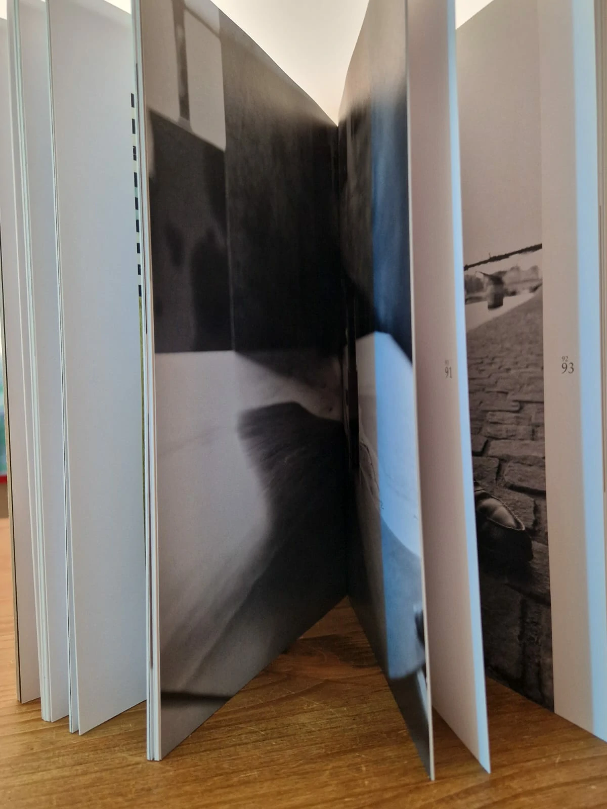 J.M Weston – Didier van Cauwelaert – Le Bouquiniste du 87