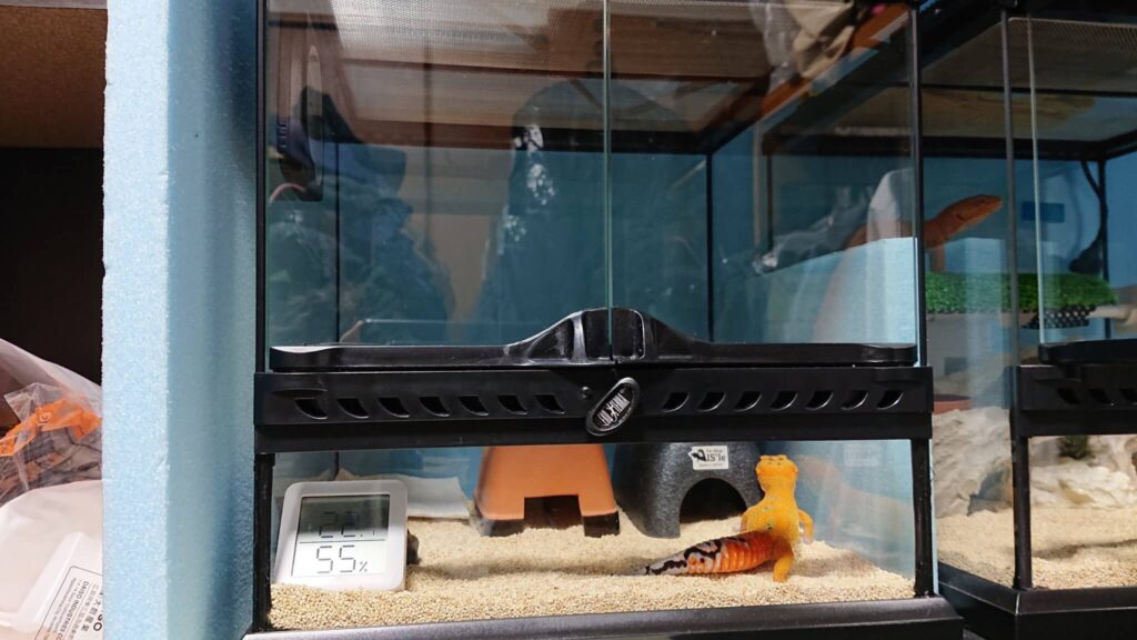 レオパ飼育】GEX エキゾテラ『グラステラリウム3030』レビュー