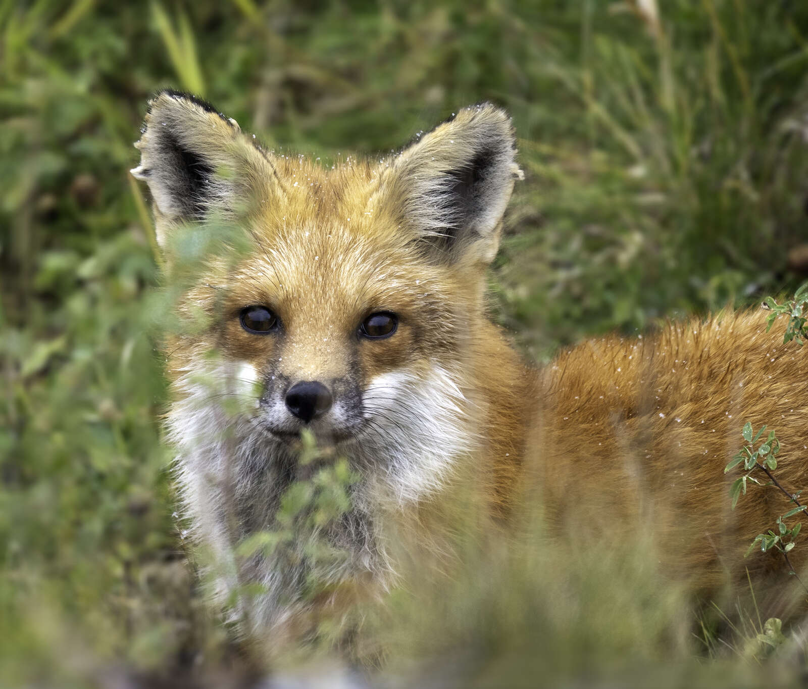 The Ultimate Zoom: Testing the M.Zuiko 150-400mm PRO | OM SYSTEM