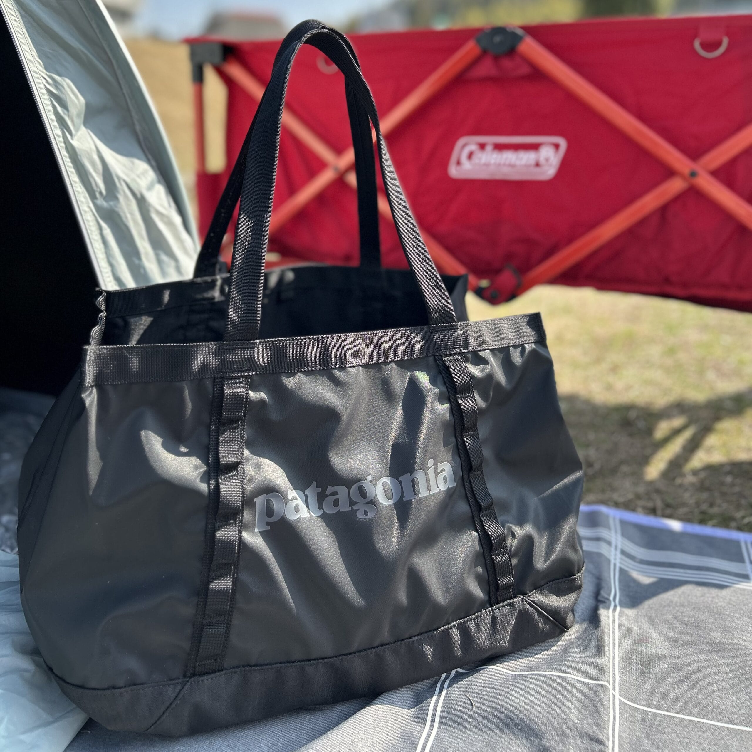 patagonia】ブラックホール・トートを購入しました | LEE