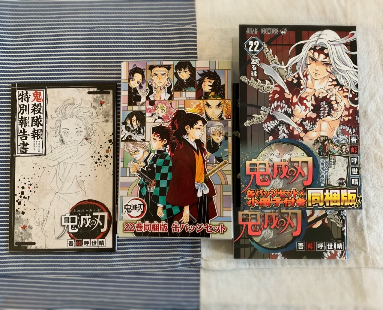 鬼滅の刃22巻 特装版 | LEE