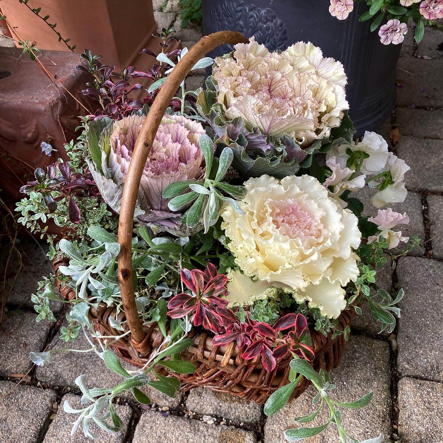 我が家の寄せ植えたち♪】 | LEE