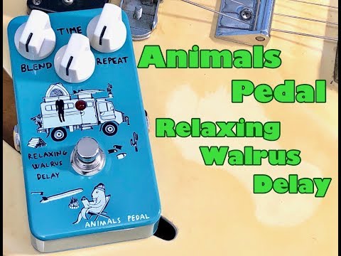 Animals Pedal - RELAXING WALRUS DELAY – LEP INTERNATIONAL