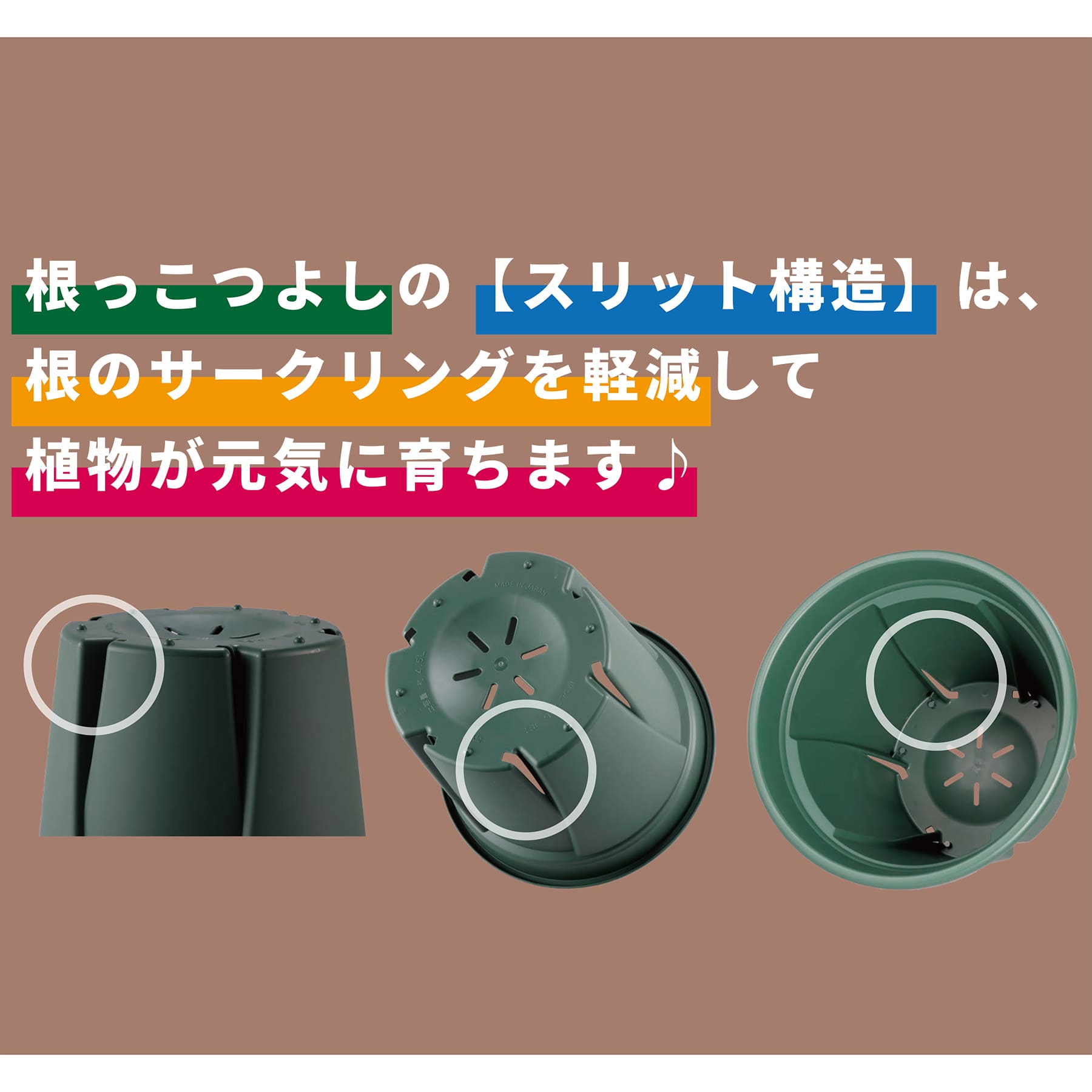 根っこつよし 3号（5個パック） アップルウェアー（apple