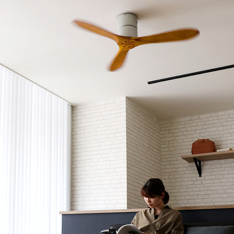 Modern Collection シーリングファン REAL wood blades JE-CF025