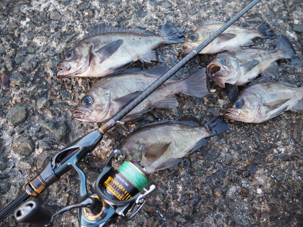 ソアレ エクスチューンMB S76UL-S インプレ