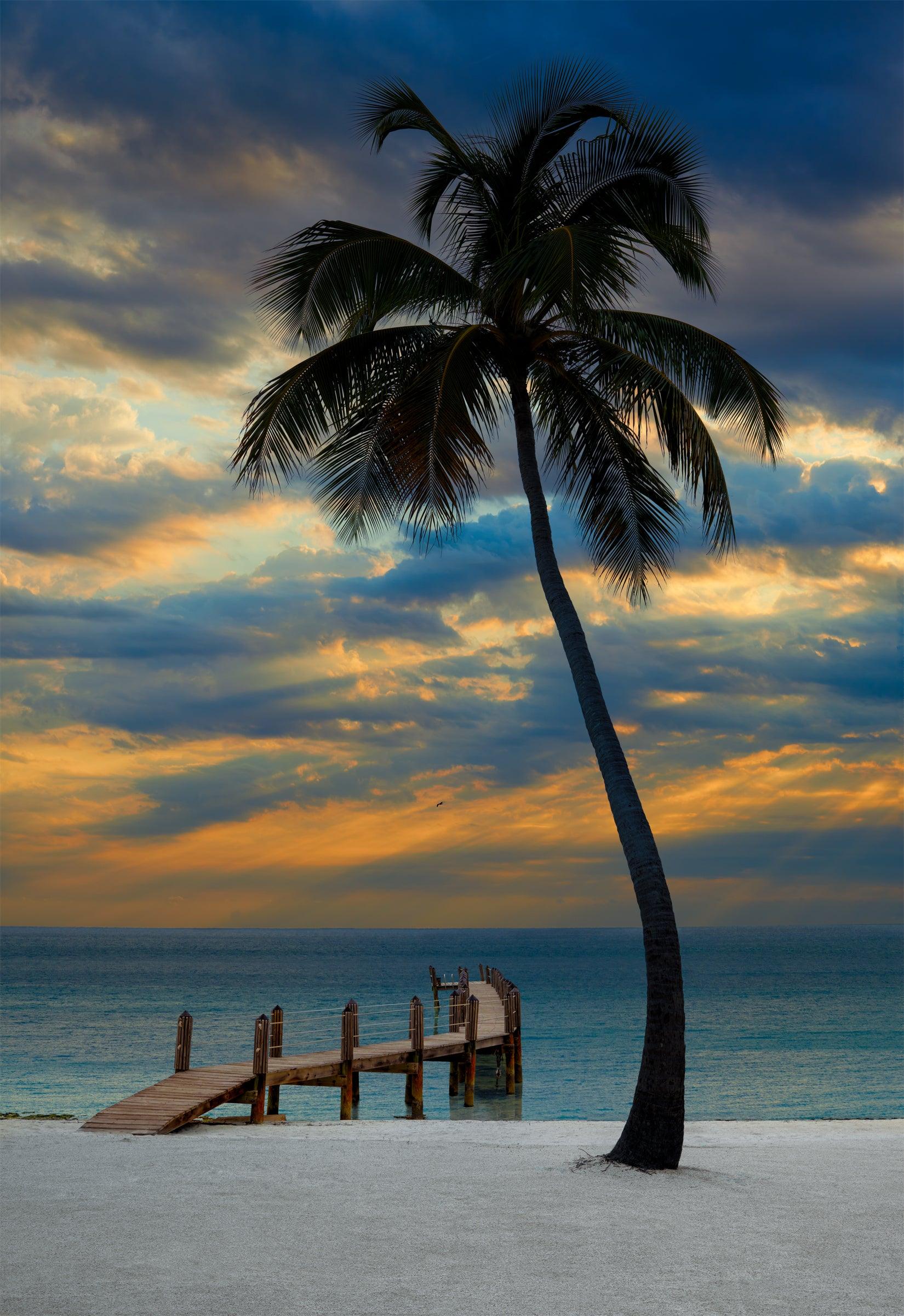 Tropical Dream - Fine Art Photograph by Peter Lik