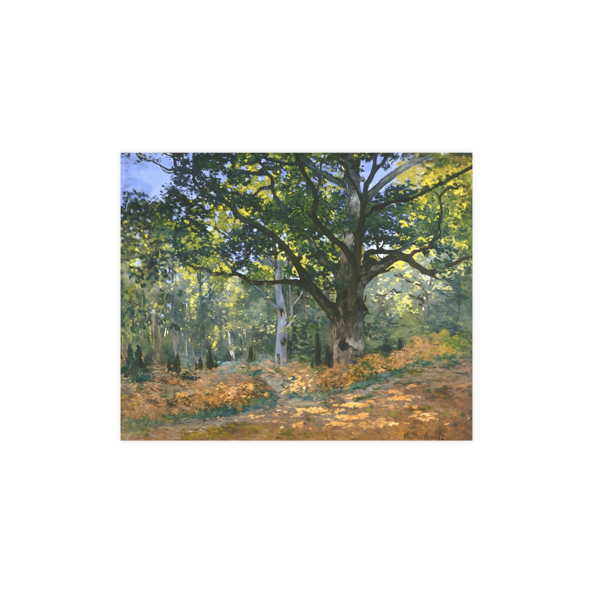 The Bodmer Oak, Fontainebleau Forest' – Lisa Burningham