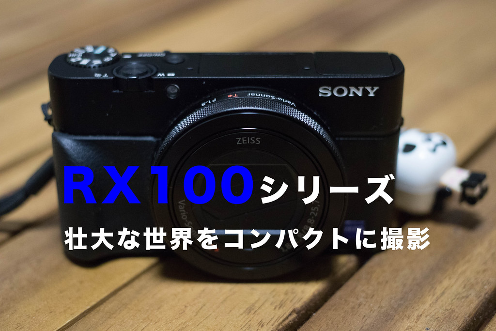 カメラ】旅行や登山におすすめのコンデジはソニーのRX100 | My