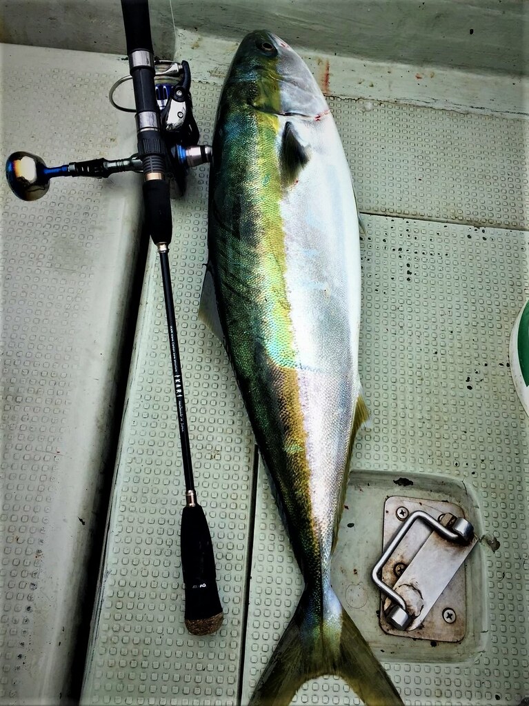 ZENAQ FB64-5 ショアジギングロッド ZENAQ FB64-5 ショアジギング