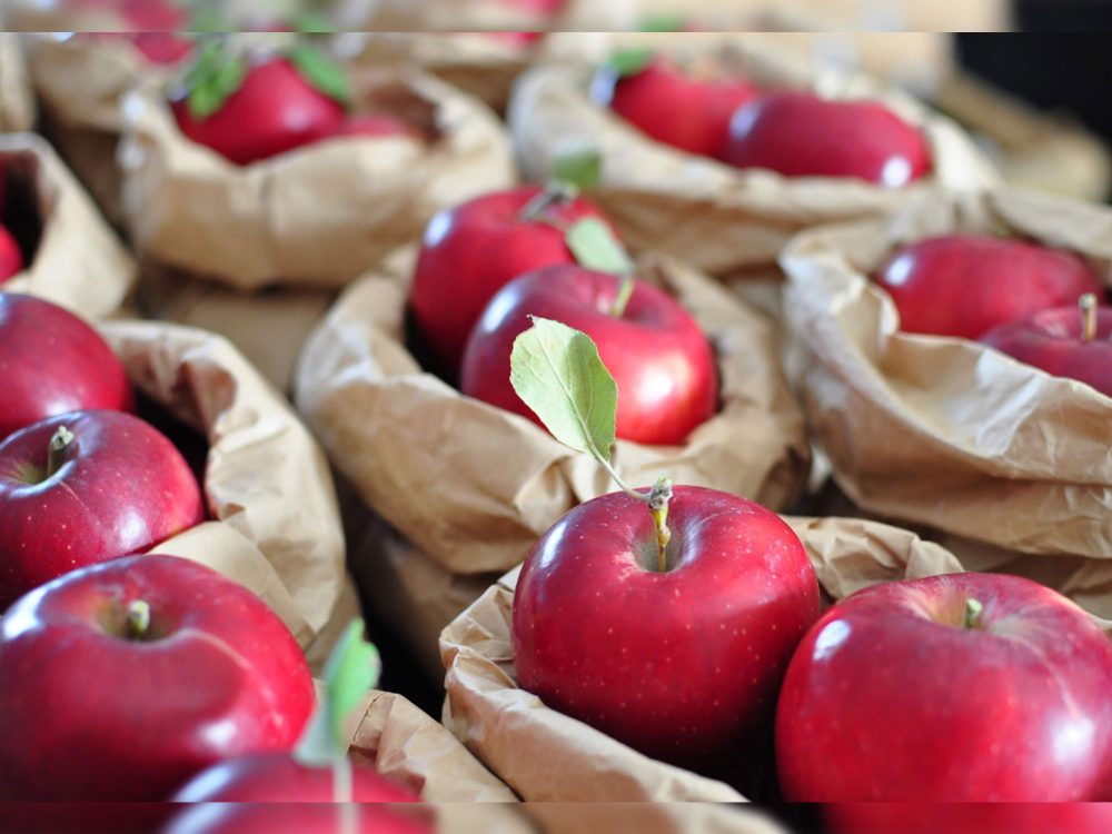 PEACHMAN CAFE | LIVE AZUMA 2024 | 福島県あづま総合運動公園