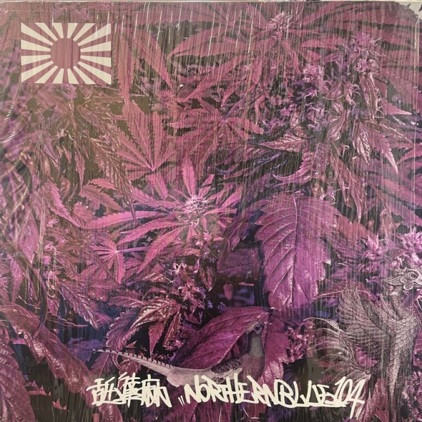 ◎5/28(火) 舐達磨 関連中古LP 入荷情報 : ディスクユニオン新宿ソウル