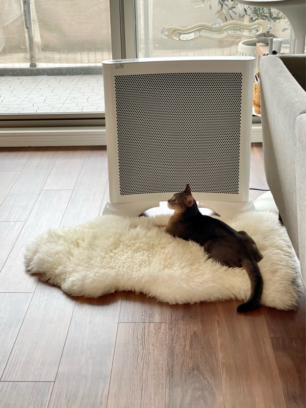 フランス製「CAMPA」のパネルヒーターが届いた♪ ポカポカ気持ちが良い