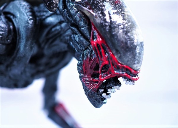 NECA ナイトクーガーエイリアン レビュー : おもちゃの巣（玩具レビュー）