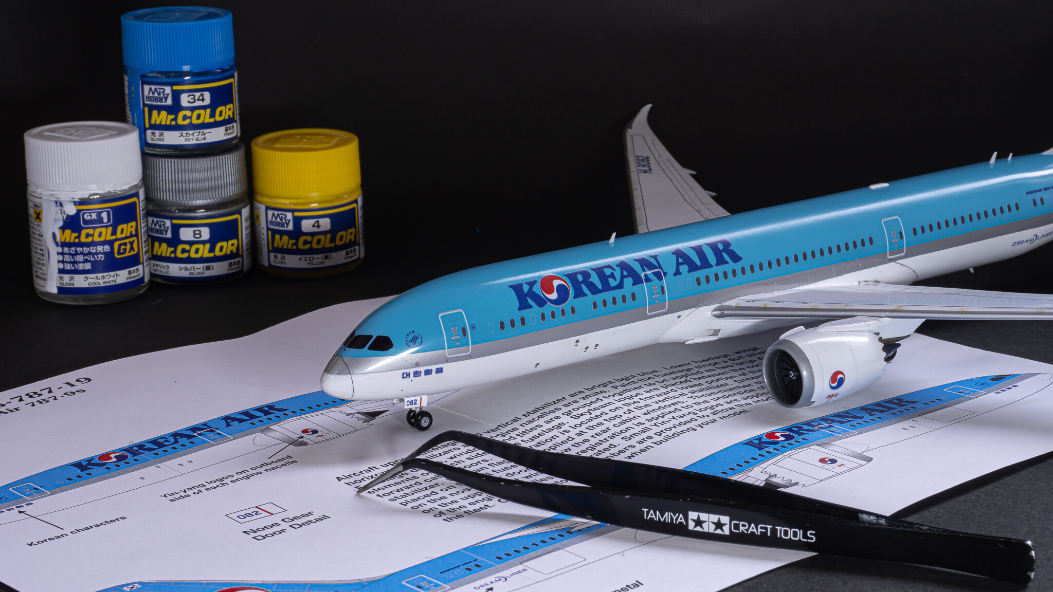 ハセガワ 787-9 大韓航空 製作 1/200 : マキビシ小次郎 / McInvish546