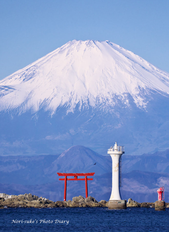 葉山・真名瀬海岸から見た富士山 : Nori-sukeの写真散歩