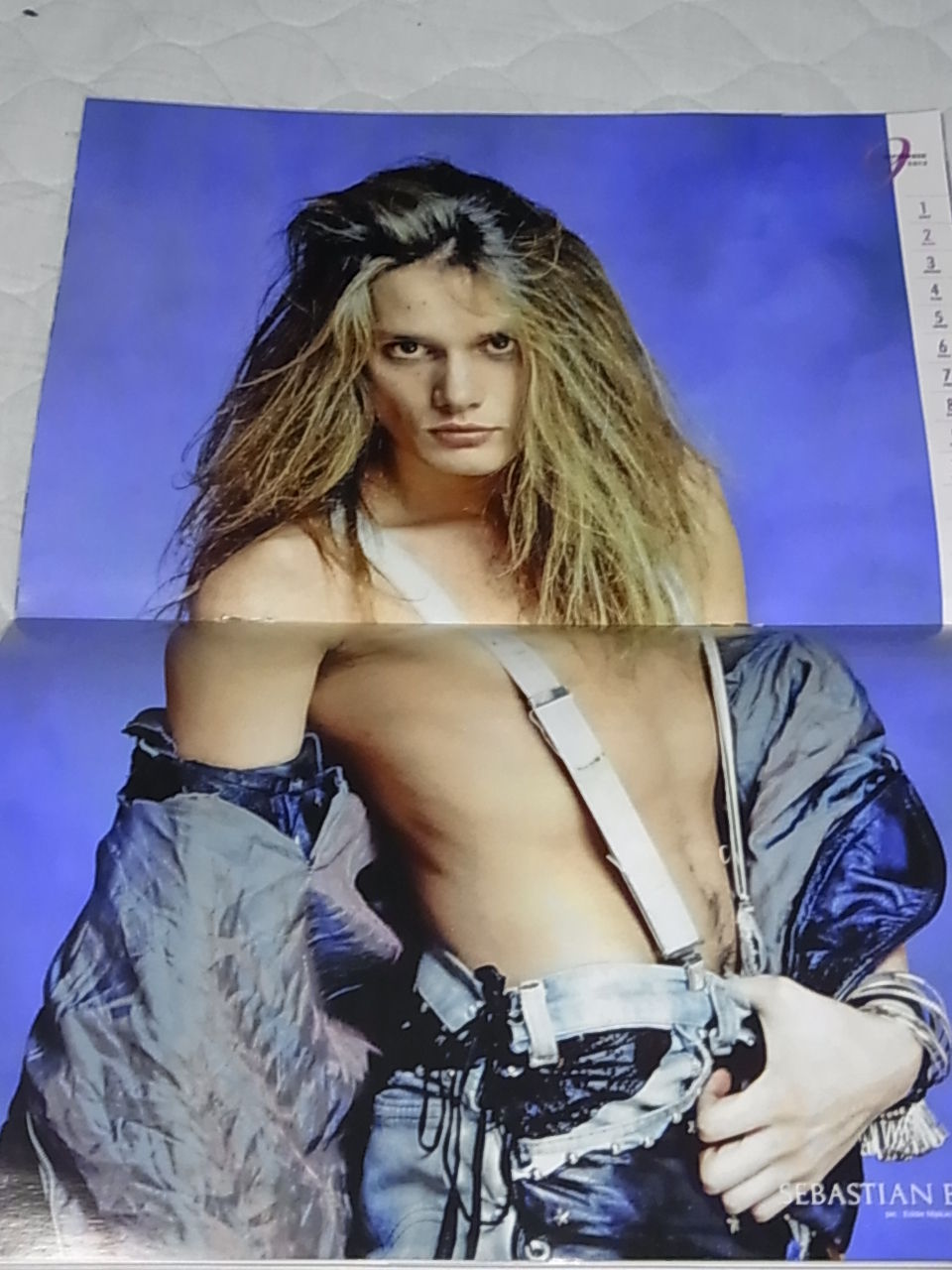 セバスチャン・バック直筆サイン入り2Lサイズ写真… セバスチャン