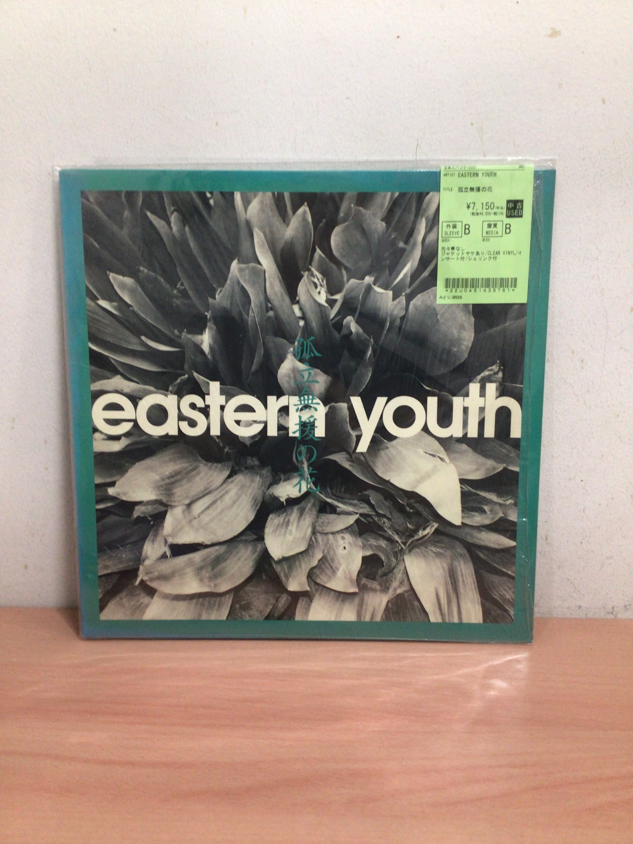 PUNK】JAPANESE PUNK バンド 中古LPが大量入荷！ : ディスクユニオン