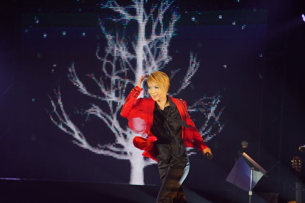 凰稀かなめの粋でオシャレな夢空間 Kaname Ouki Xmas Dinner Show 2015