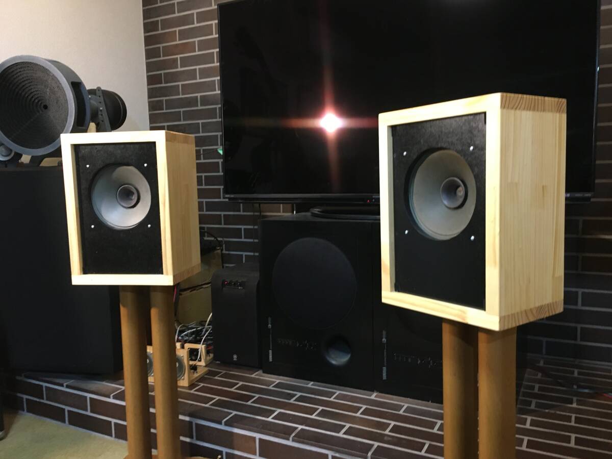 東独RFT/VEB ビンテージ 20㎝フルレンジL2153PBK システム ペア高速