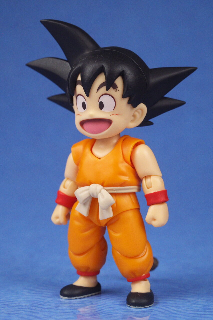 S.H.フィギュアーツ 孫悟空＆龍-40周年記念Edition- レビュー : はっちゃか