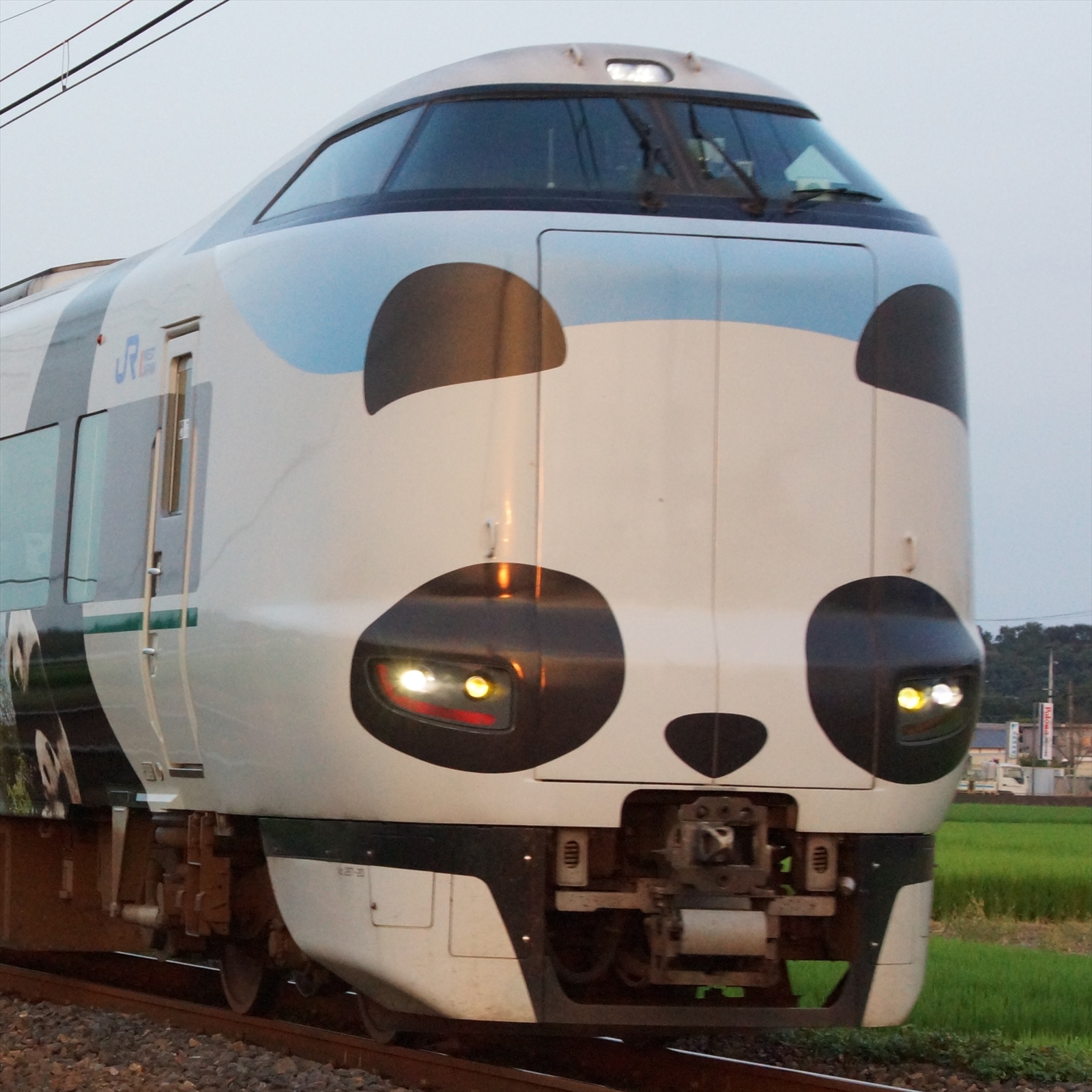 南海電鉄】K-POPグループ「SEVENTEEN」ラッピングの「ラピート」運行