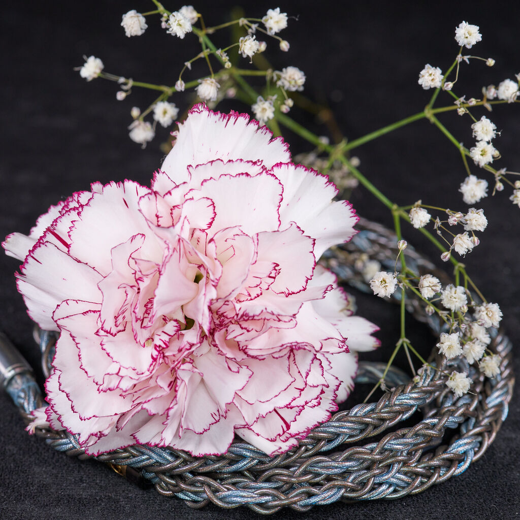 作品の紹介と販売のご案内 : SYMPATHIE WORKS