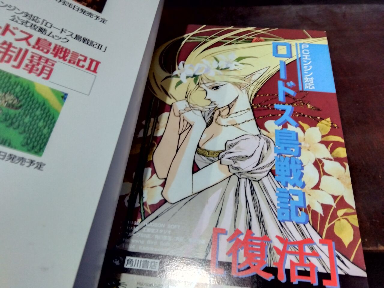 PCエンジン】ロードス島戦記 復活 : だんぼーるはうすinブログ