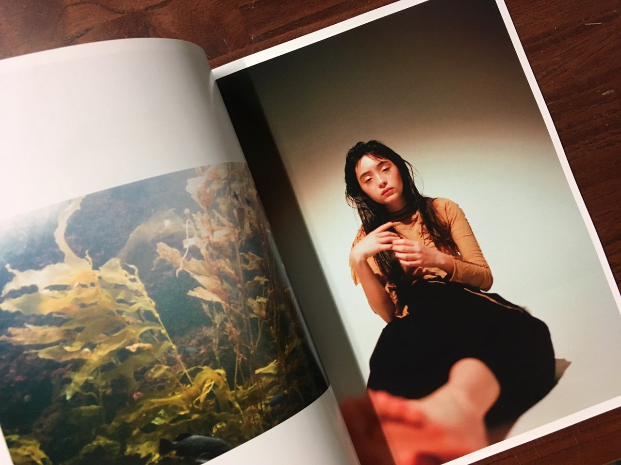 写真集】YOKO KUSANO x MOTOLA SERENA : スタンダードブックストア