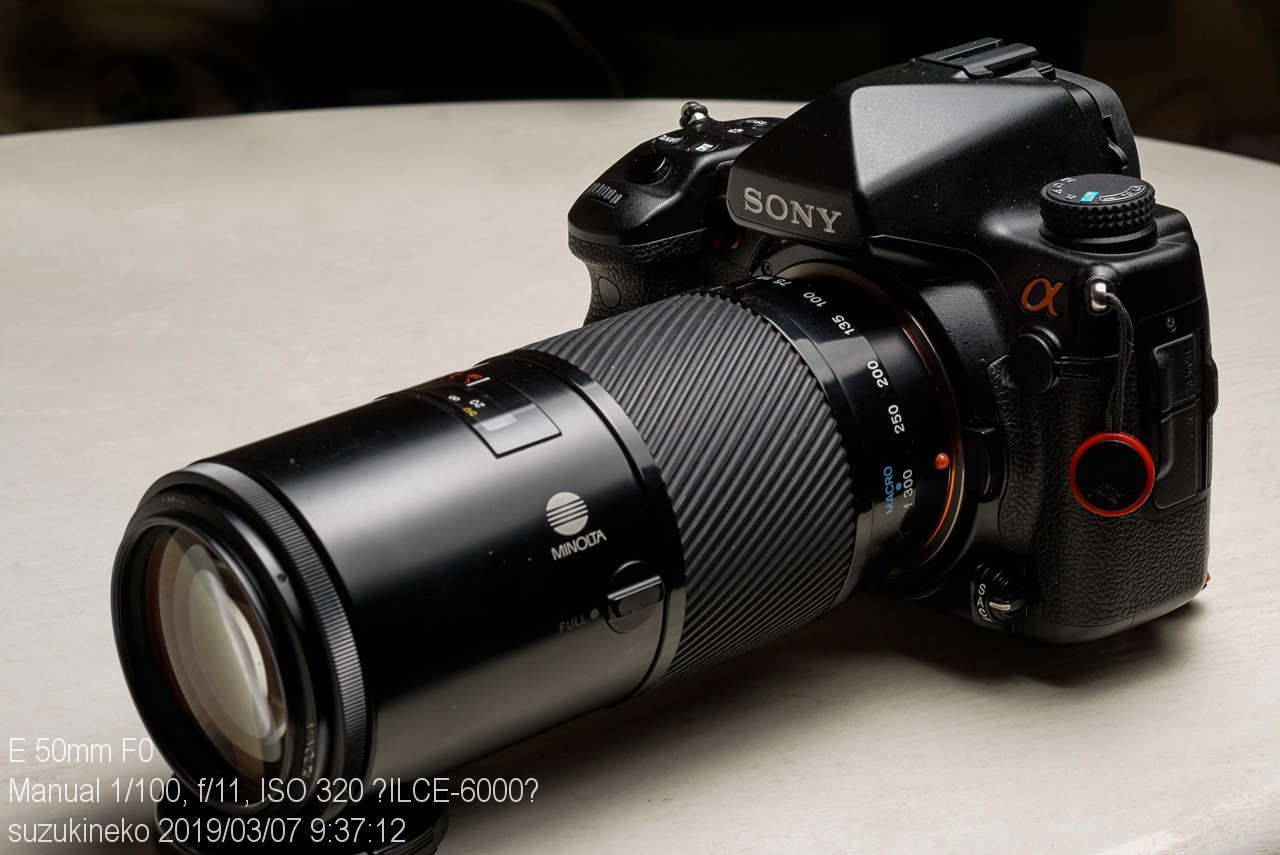 MINOLTA AF ZOOM 75-300mm F4.5-5.6初代 part2 : ～猫の鼻