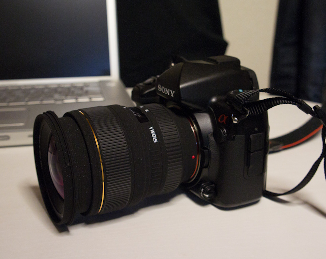 これぞ標準ズーム！SIGMA 24-60mm F2.8 EX DG : ～猫の鼻～ suzukineko