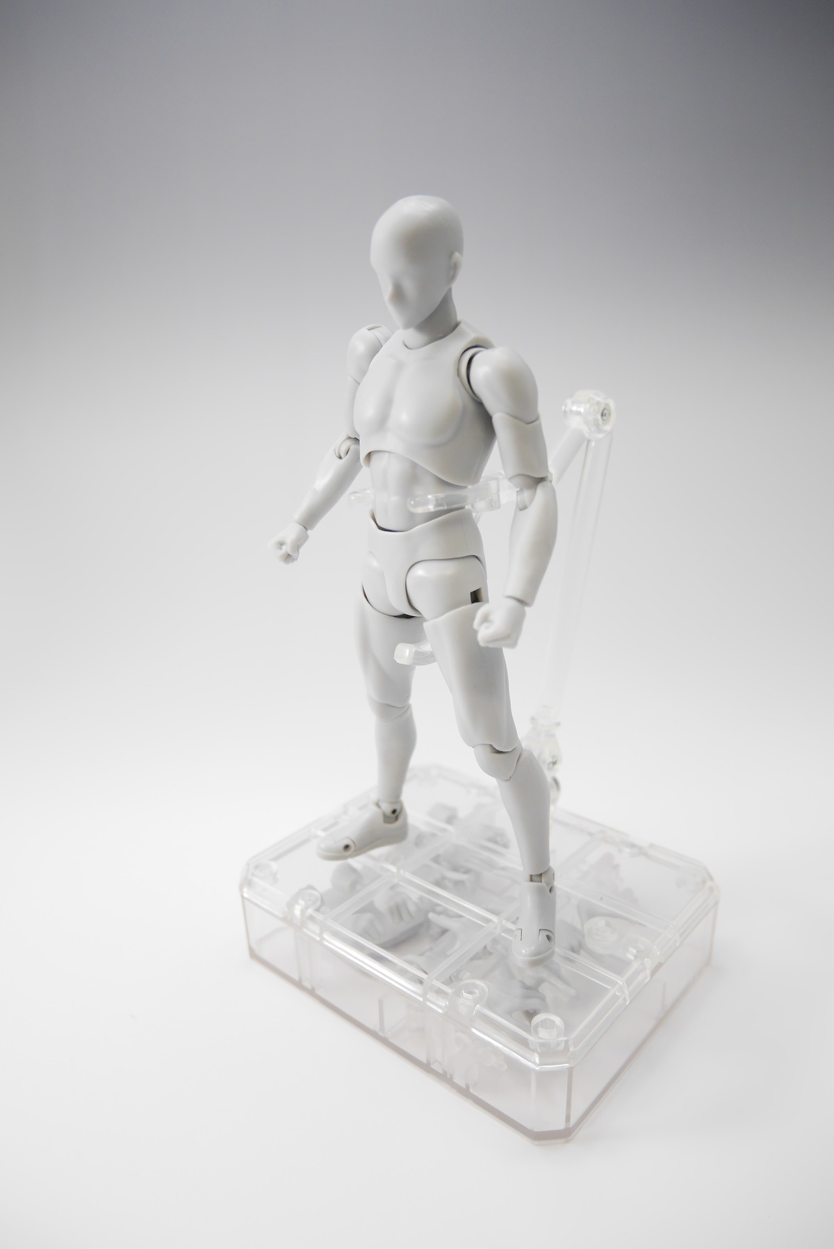 本日発売！ボディくん＆ボディちゃん徹底解剖！！ : S.H.Figuarts(エス